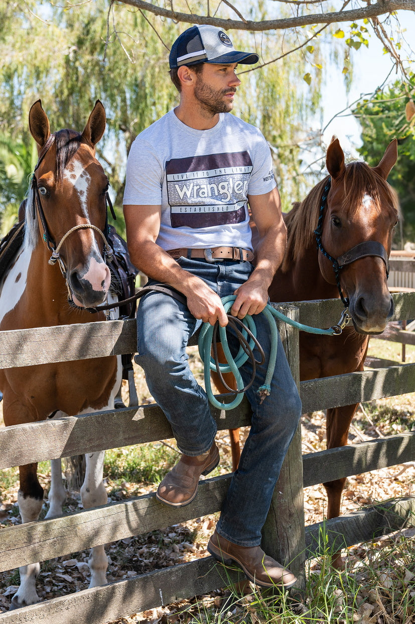 WRANGLER MENS NOAH S/S TEE (WHITE MARLE)