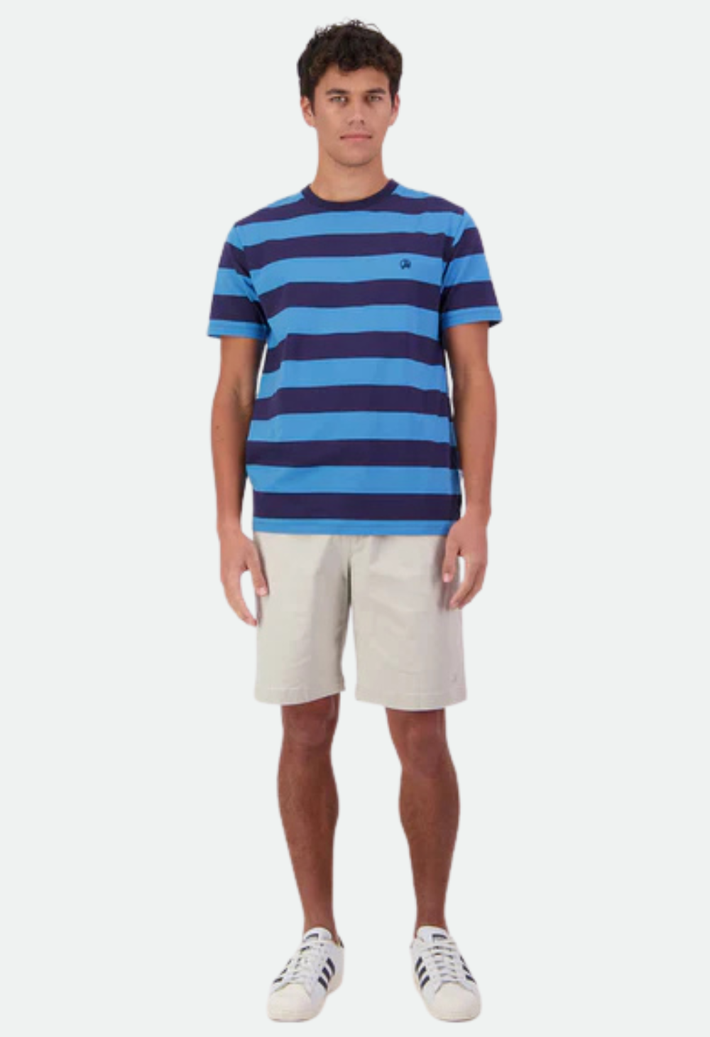 Swanndri Men's Stredwick Striped T-Shirt - Blue/Navy