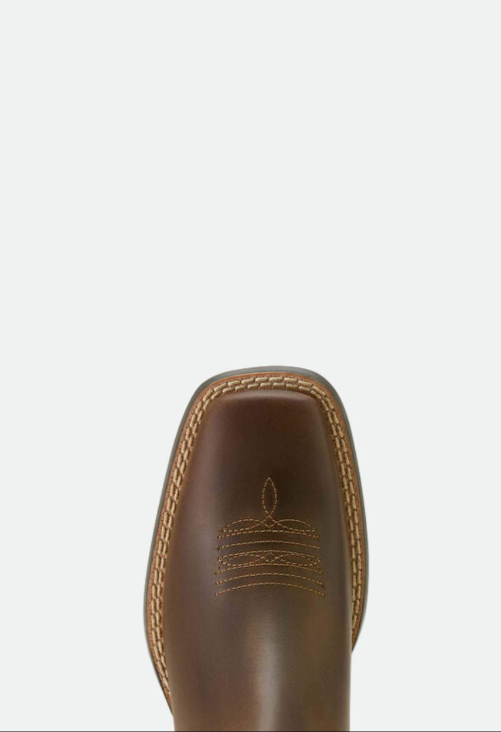 Ariat Youth Booker Chelsea Distressed Brown