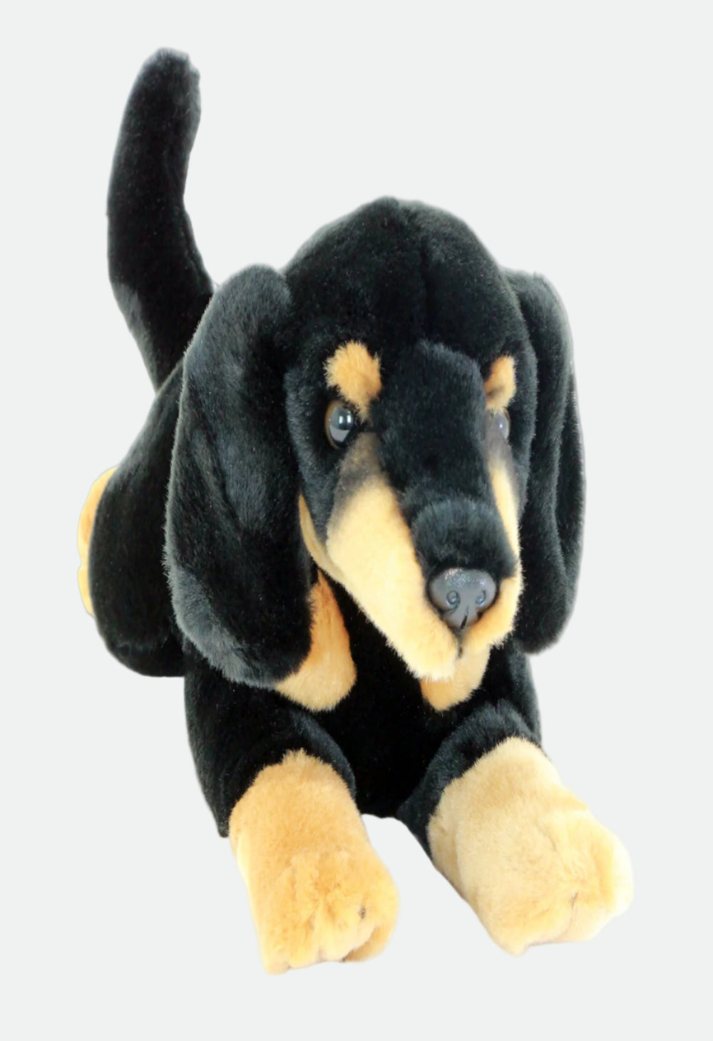 Bocchetta Frankie (Dachshund - 30cm floppy, black and tan)