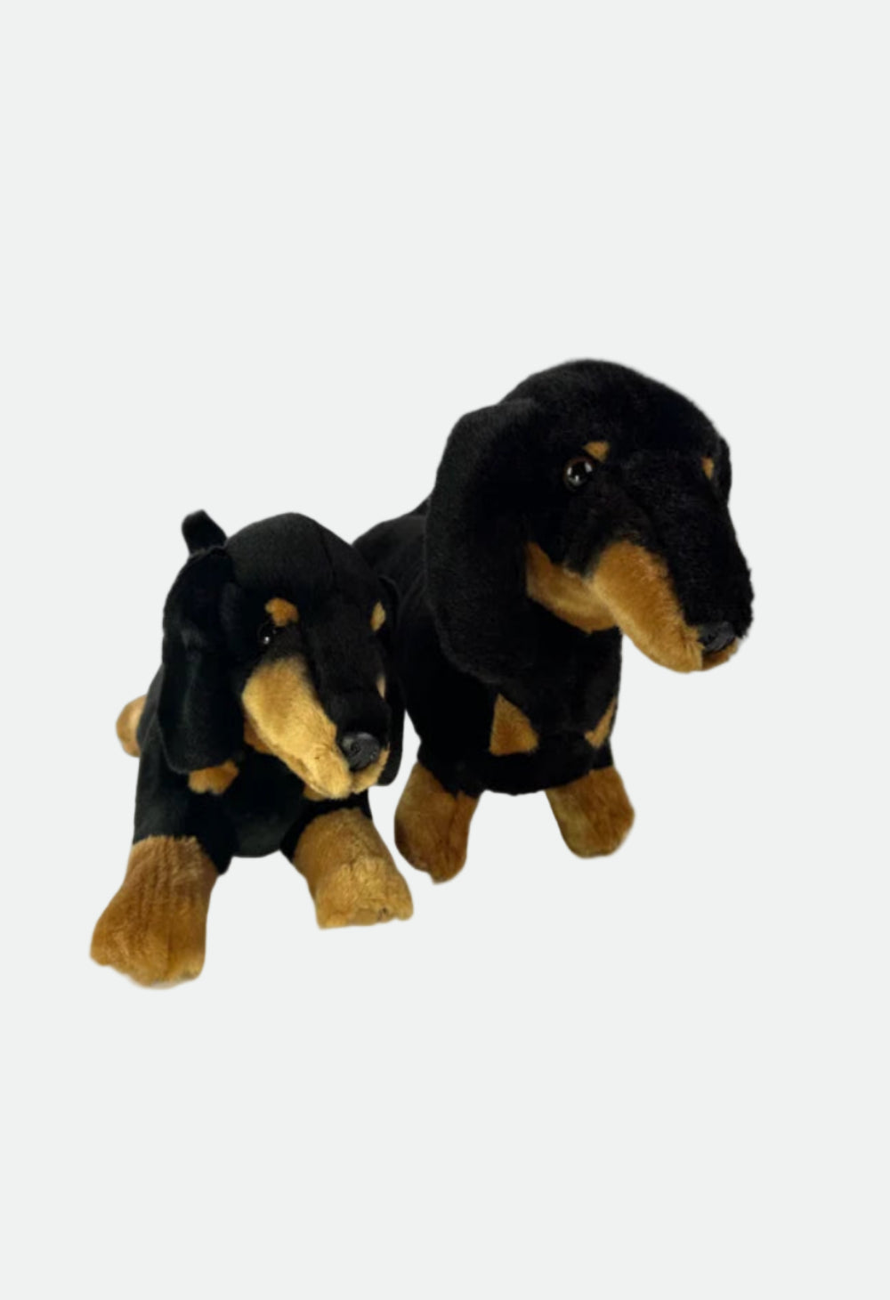 Bocchetta Frankie (Dachshund - 30cm floppy, black and tan)