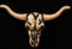 Austin Accent Hat Pin Longhorn