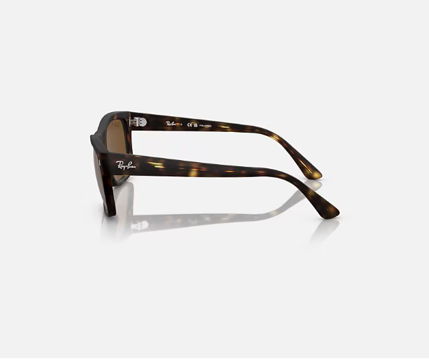 Ray-Ban Matte Black w/ Polar Black