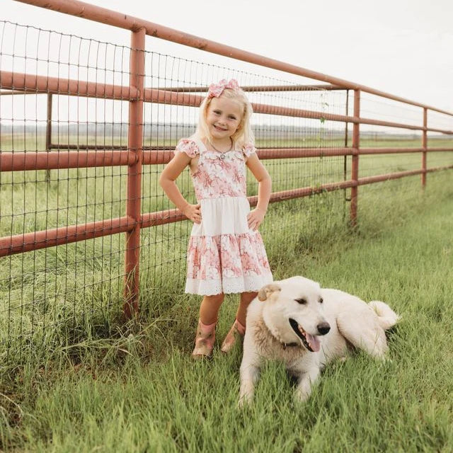 Shea Baby Plaid Bucking Horse Ruffle Dress