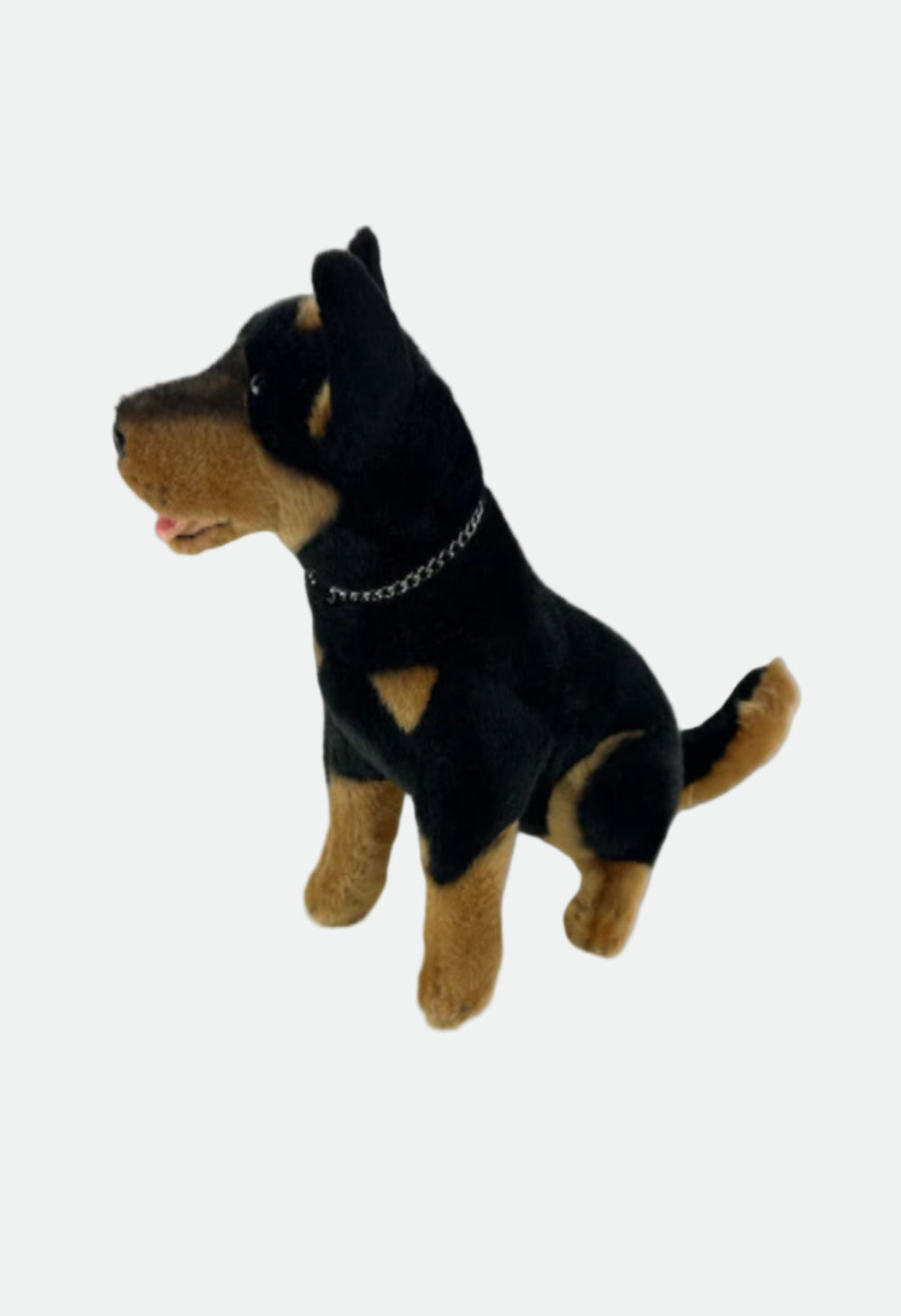 Bocchetta Rex (Kelpie - 28cm sitting, black and tan)
