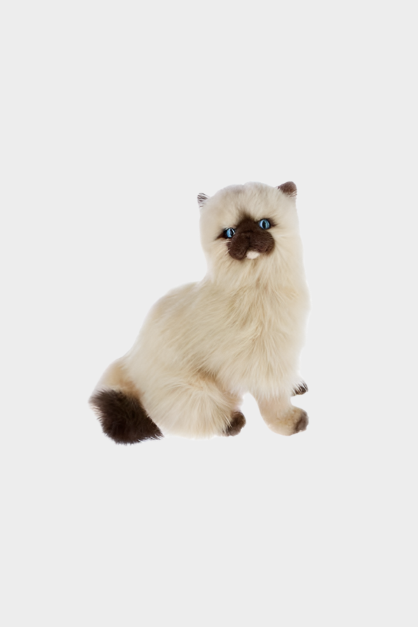 Bocchetta Toys - Toffee the Cream Himalayan Cat 34cm