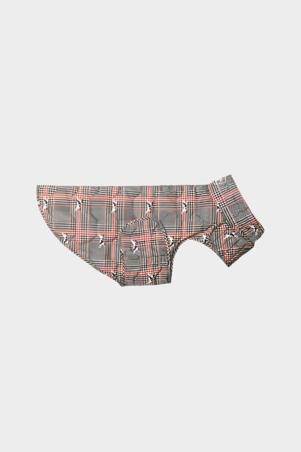 Ariat Dog's Puffer Jacket (Rampant Dog Glenplaid)