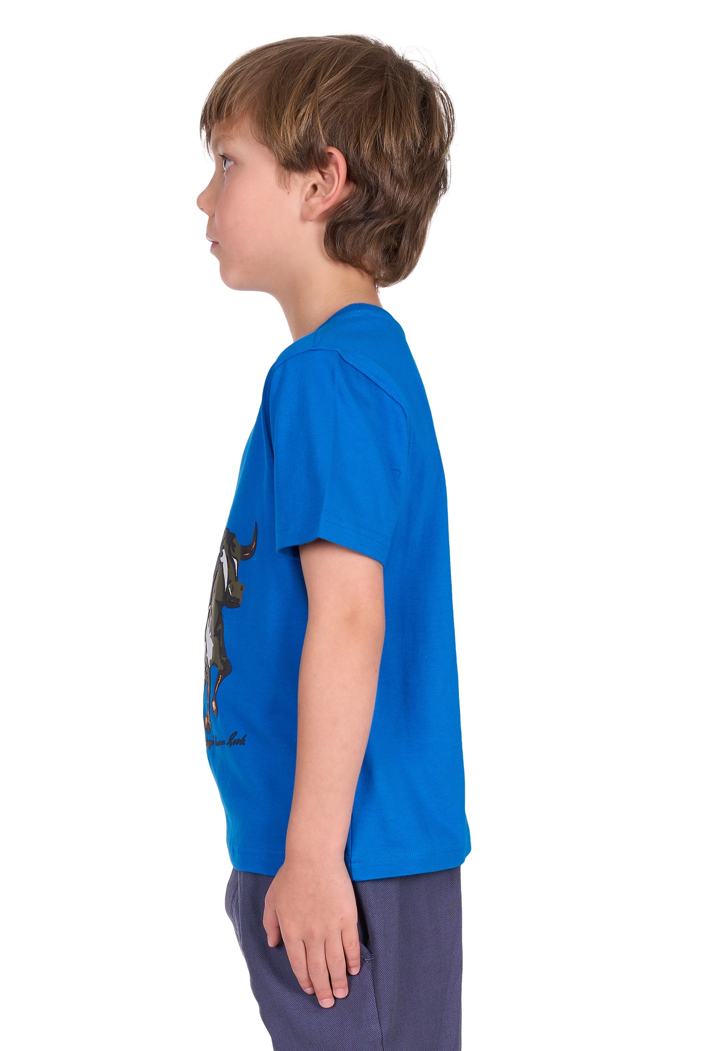 Thomas Cook Boy's Robbie Ss Tee - Royal