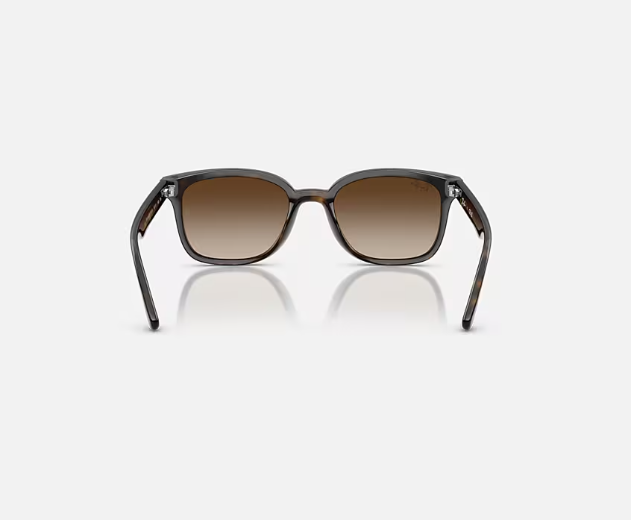 Ray-Ban RB4461D Havana w/ Gradient Brown