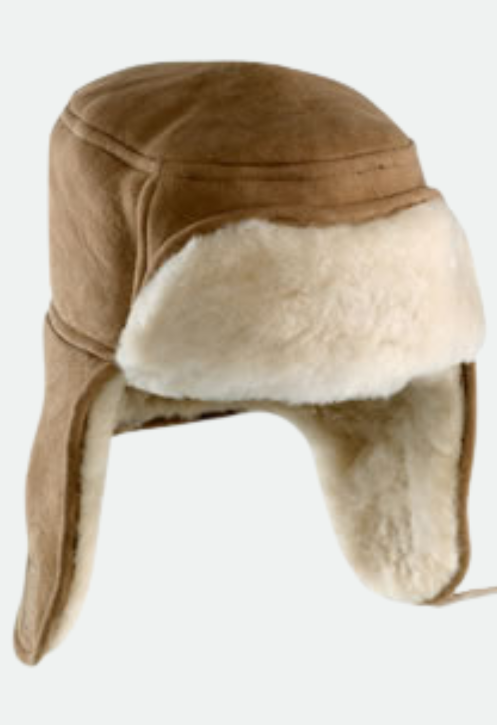 Wild Goose Snow Man Hat