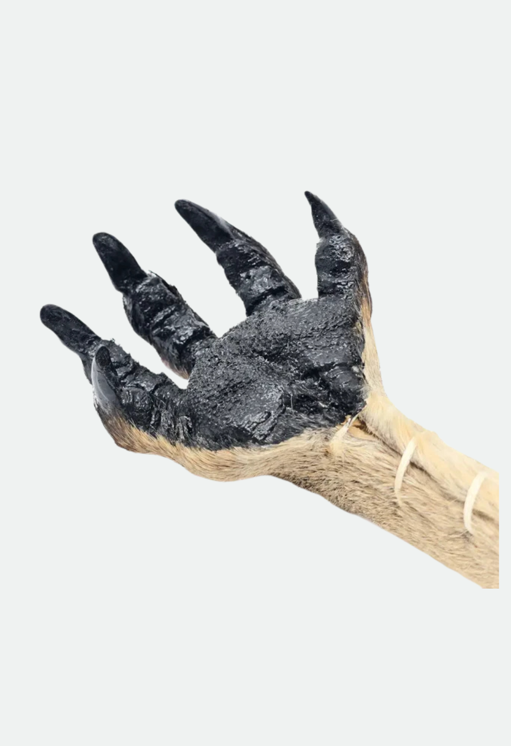 Kangaroo Paw Backscratcher