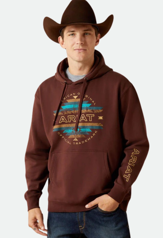 Ariat Men's Carlsbad Canyon Hoodie - Brown