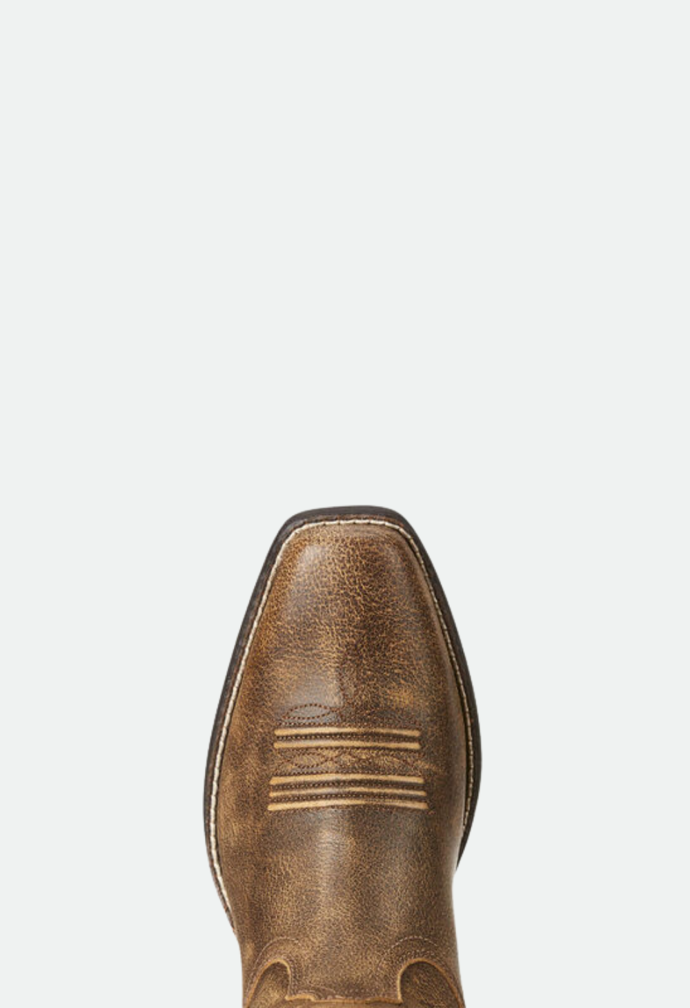 Ariat Women's Round Up Square Toe Western Boot