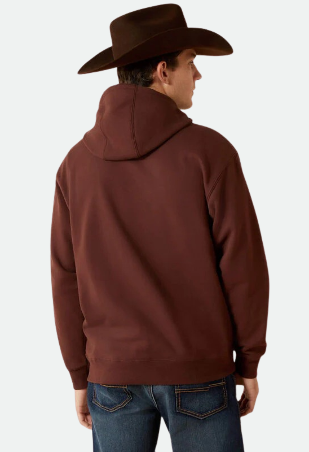 Ariat Men's Carlsbad Canyon Hoodie - Brown