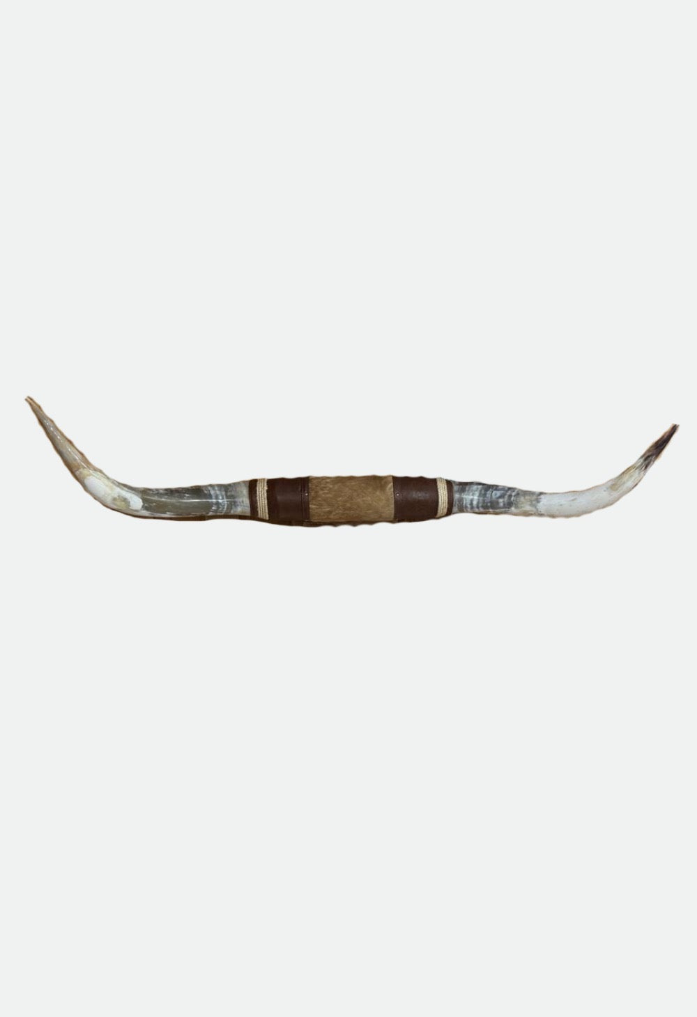 Texas Long Horn Jumbo Don't mess with Texas