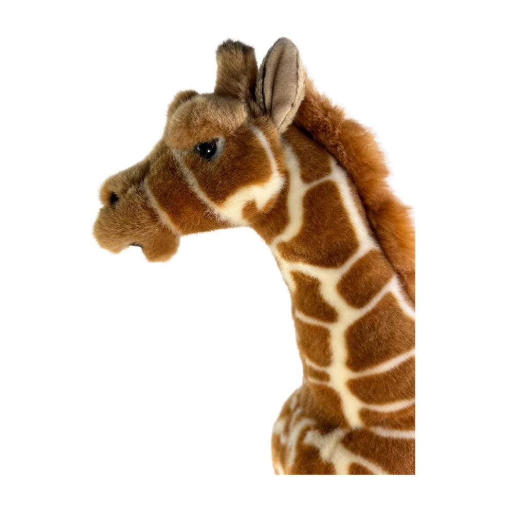 Bocchetta Elliot - Giraffe - 37cm