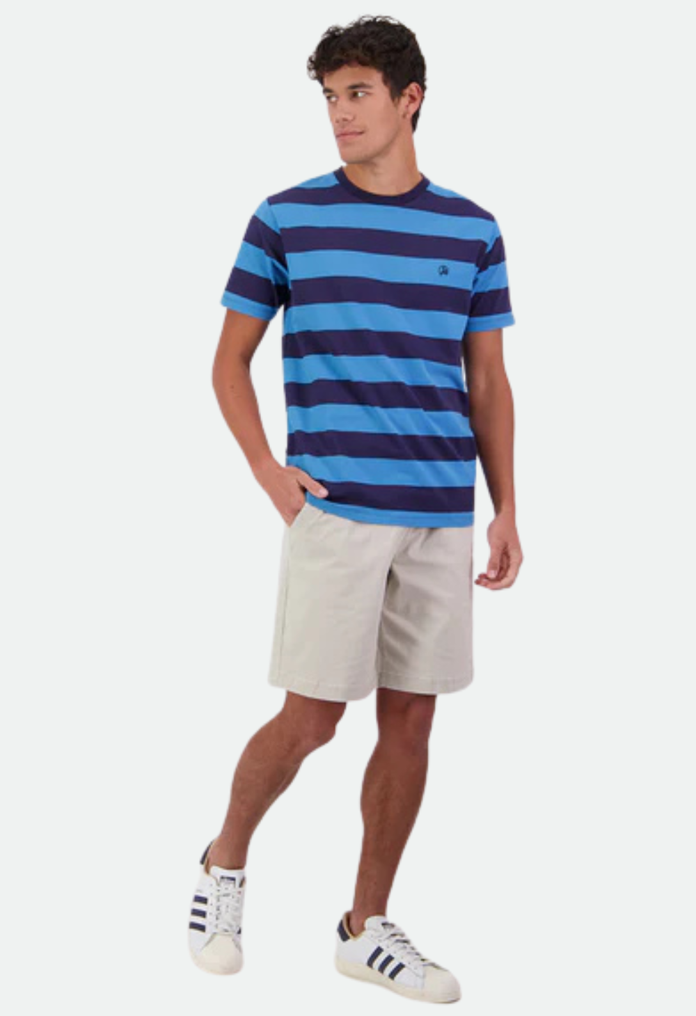 Swanndri Men's Stredwick Striped T-Shirt - Blue/Navy