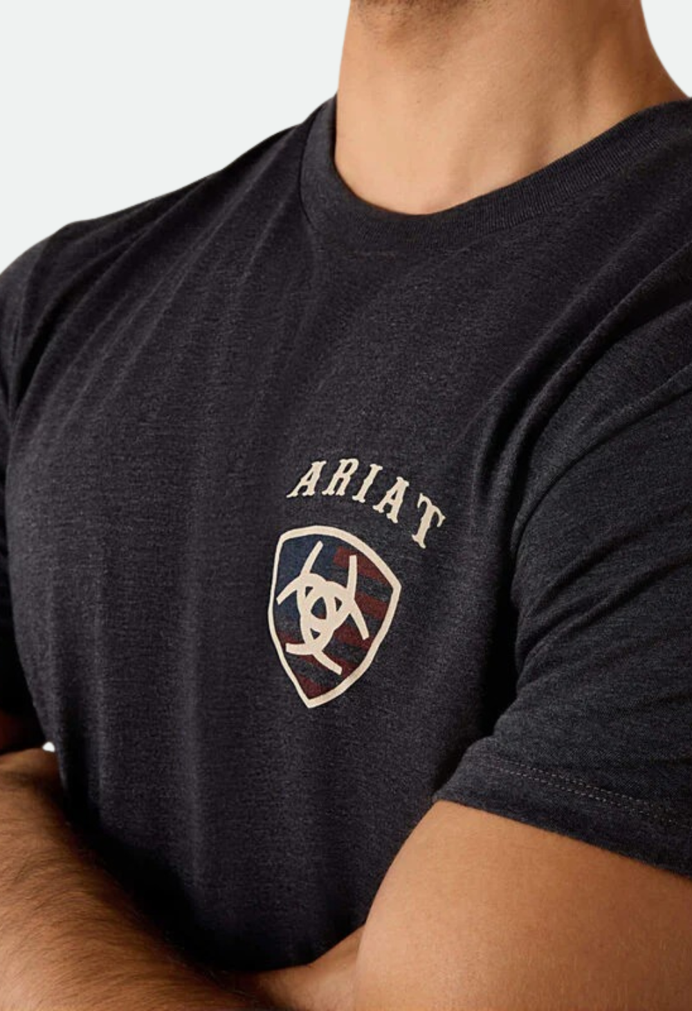 Ariat Men's American Bison Classic Fit T-Shirt - Charcoal Heather