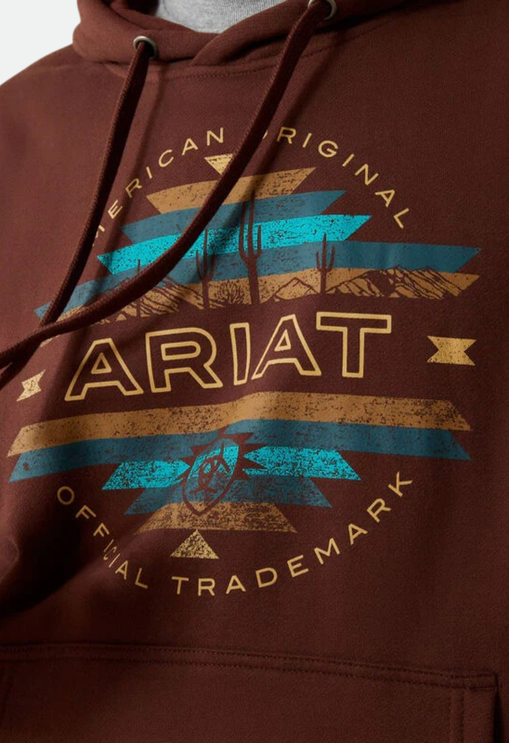 Ariat Men's Carlsbad Canyon Hoodie - Brown