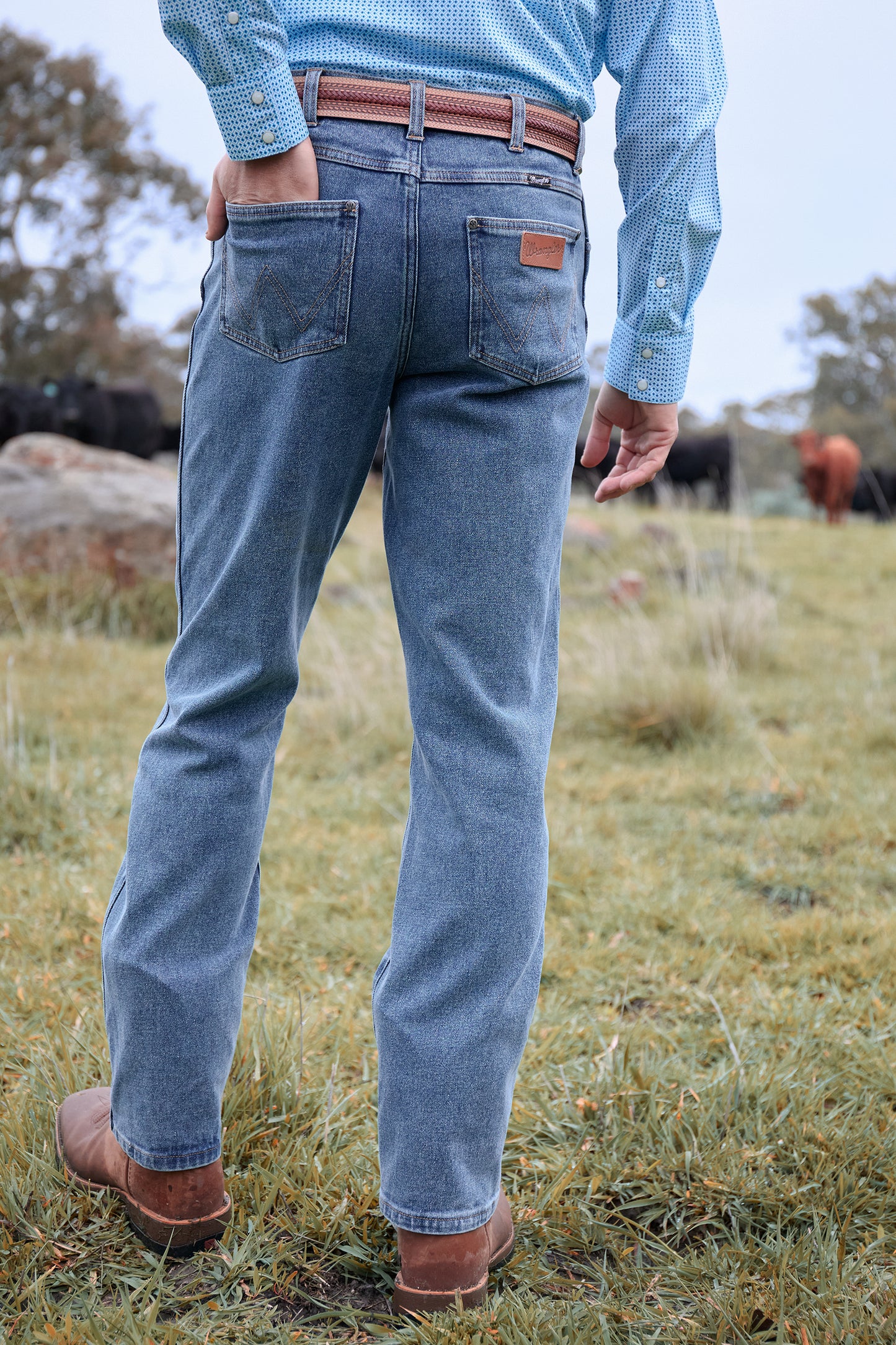 Wrangler Men’s Reg Straight Leg Jean 34L