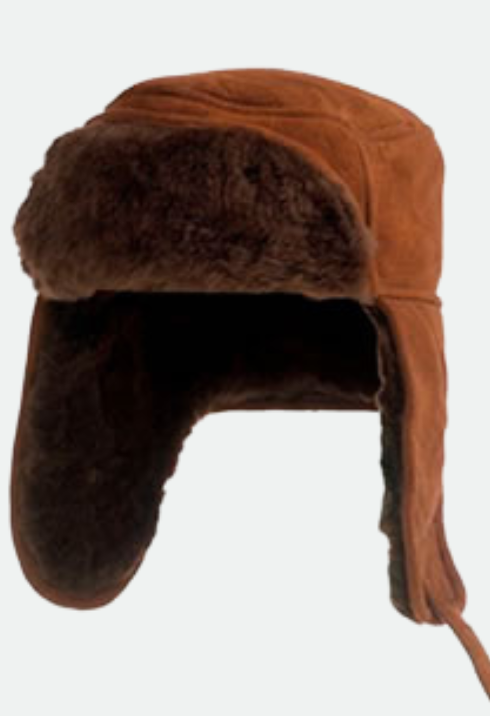 Wild Goose Snow Man Hat