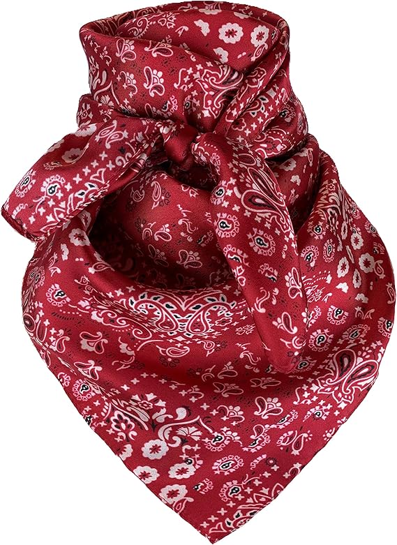 Austin Accent Silk Scarf In Cowboy