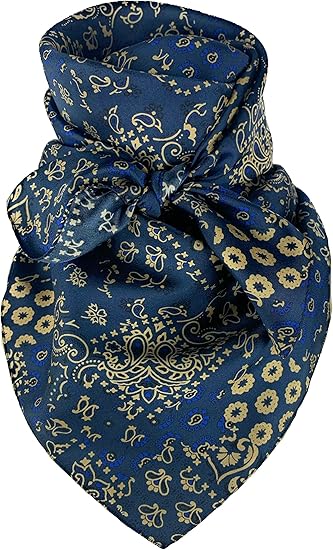 Austin Accent Silk Scarf In Cowboy