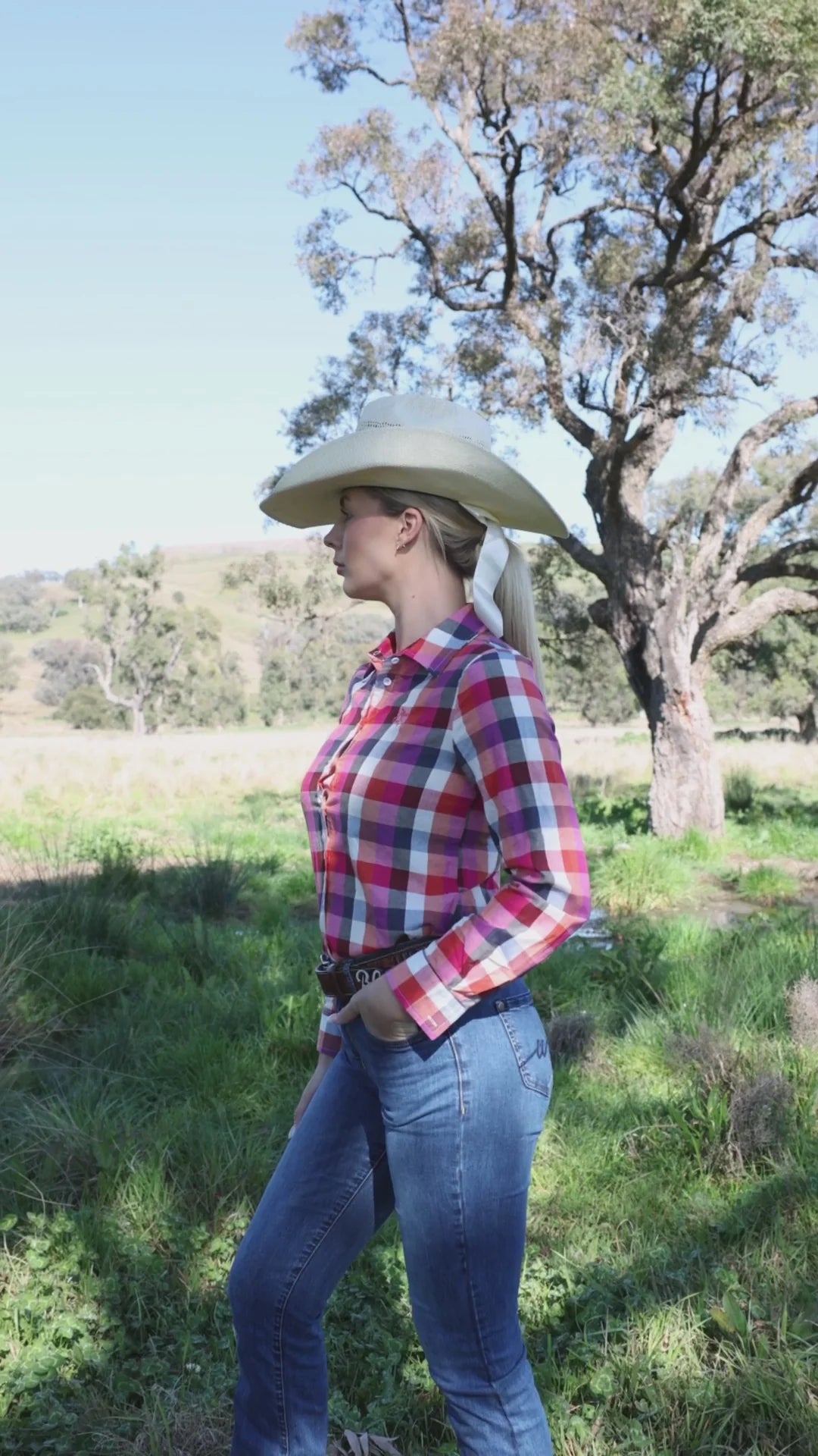 Black Colt Ellie - Pink Check