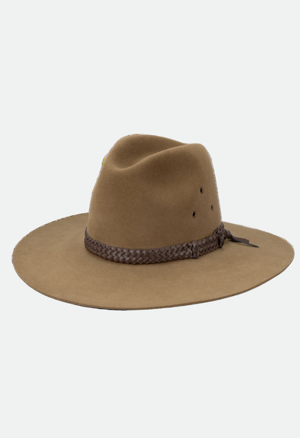 Eucalyptus_Eucalyptus