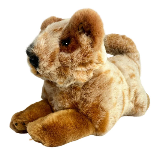 Bocchetta Flame - Cattle Dog