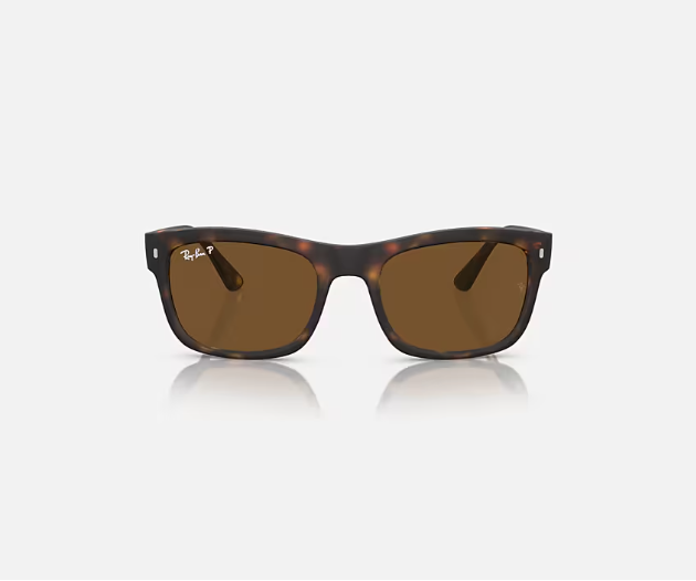 Ray-Ban Matte Black w/ Polar Black