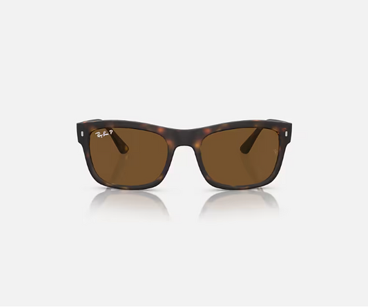 Ray-Ban Matte Black w/ Polar Black
