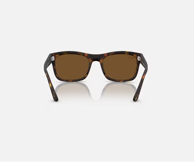 Ray-Ban Matte Black w/ Polar Black