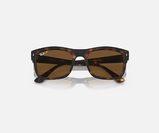 Ray-Ban Matte Black w/ Polar Black