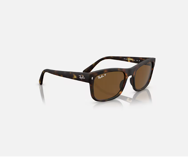 Ray-Ban Matte Black w/ Polar Black