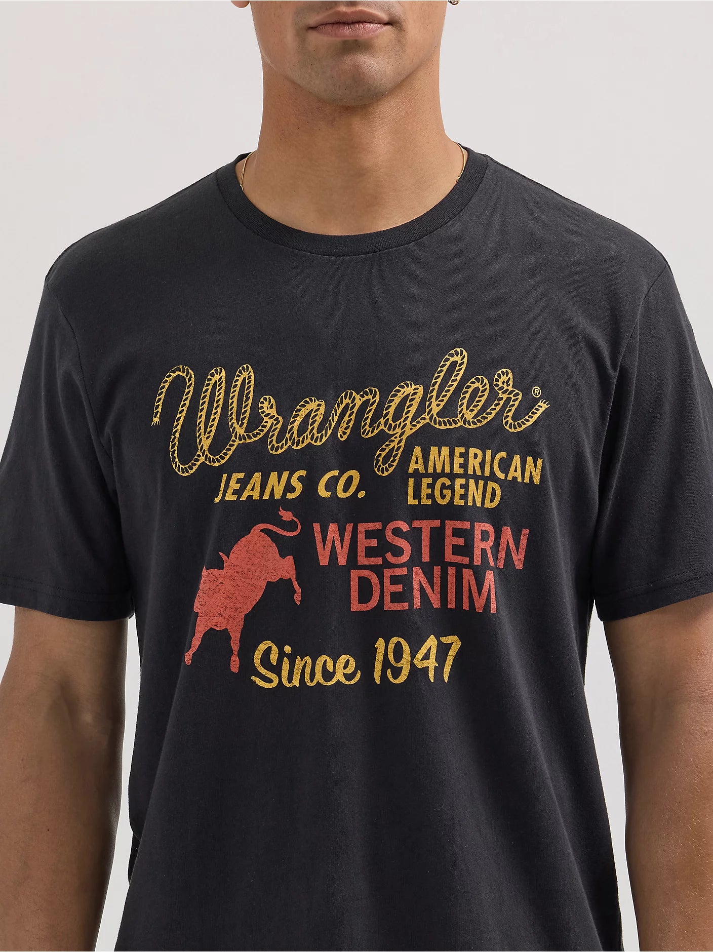 Wrangler Men's Rope Emblem Graphic T-shirt - Washed Black