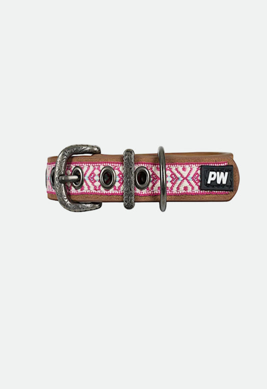 Pure Western Cosmo Dog Collar