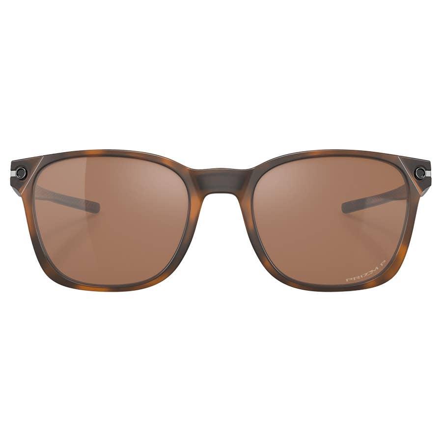 Q_Matte Brown Tortoise
