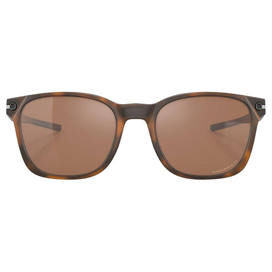 Q_Matte Brown Tortoise