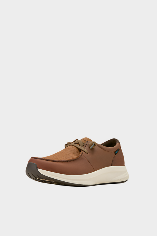 Ariat Mens Buckeye Waterproof Shoe