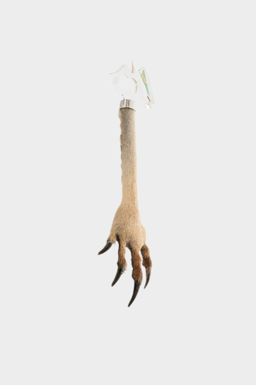 Kangaroo Paw Bottle Opener