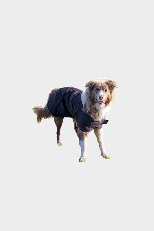 BURKE & WILLS DOG COAT (BROWN)
