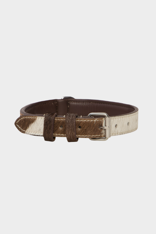 The Design Edge Dog Collar (DC01)