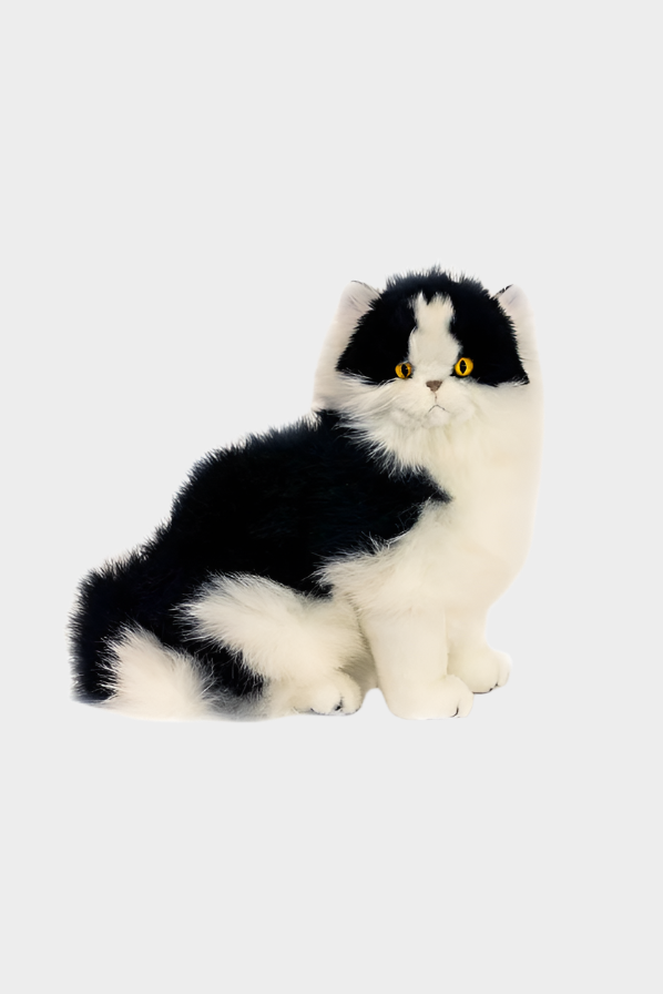 Bocchetta Toys - Angus the White and Black European Cat