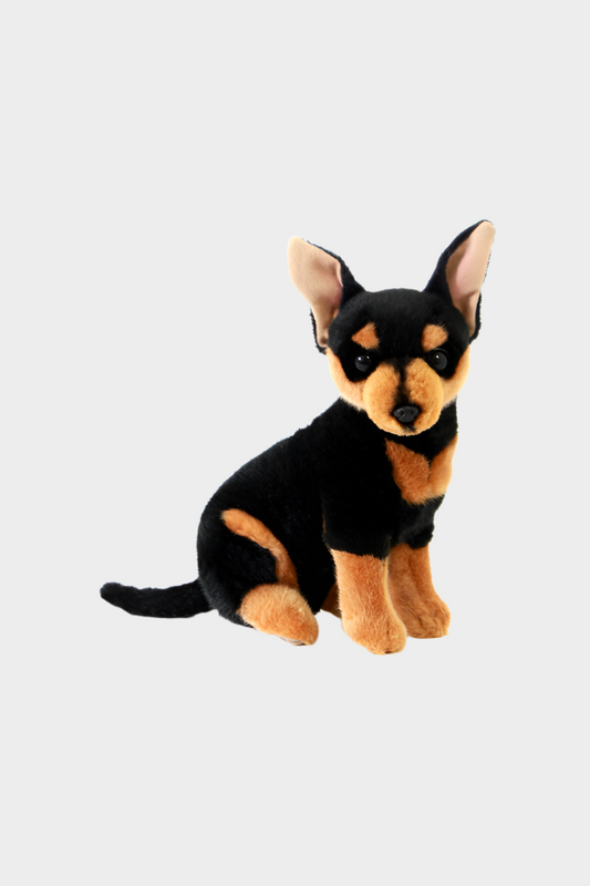 Bocchetta Toys - Taco the Chihuahua Size 25cm