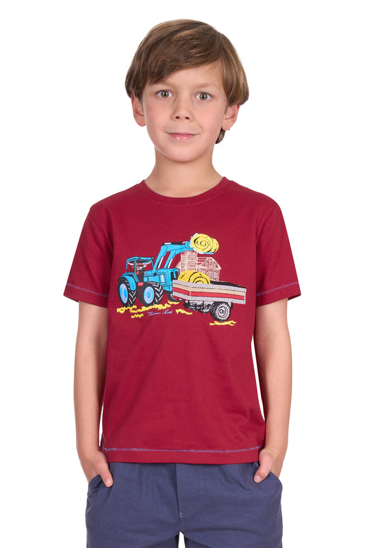 Thomas Cook Boy's Nicholas Ss Tee - Red