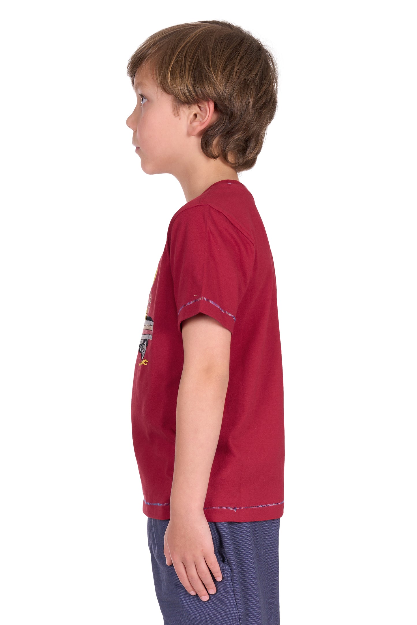 Thomas Cook Boy's Nicholas Ss Tee - Red