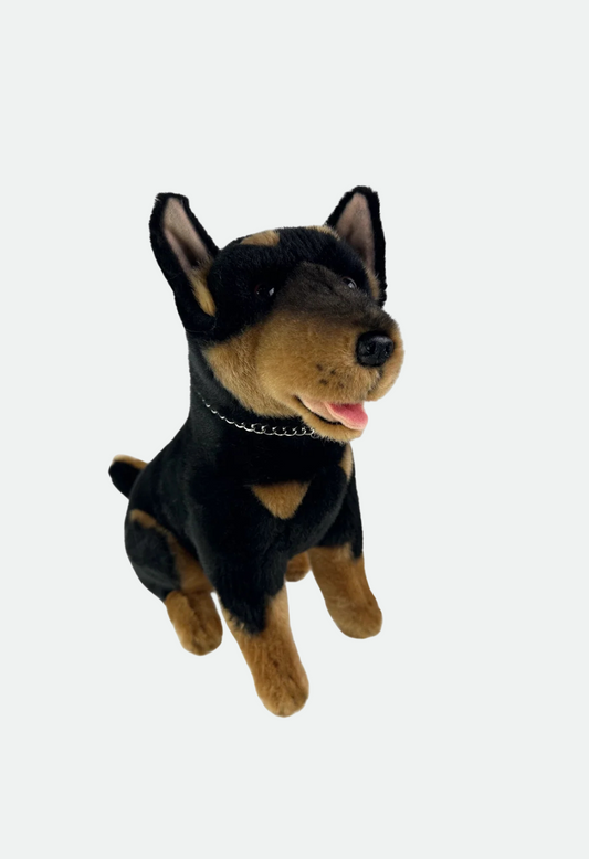 Bocchetta Rex (Kelpie - 28cm sitting, black and tan)