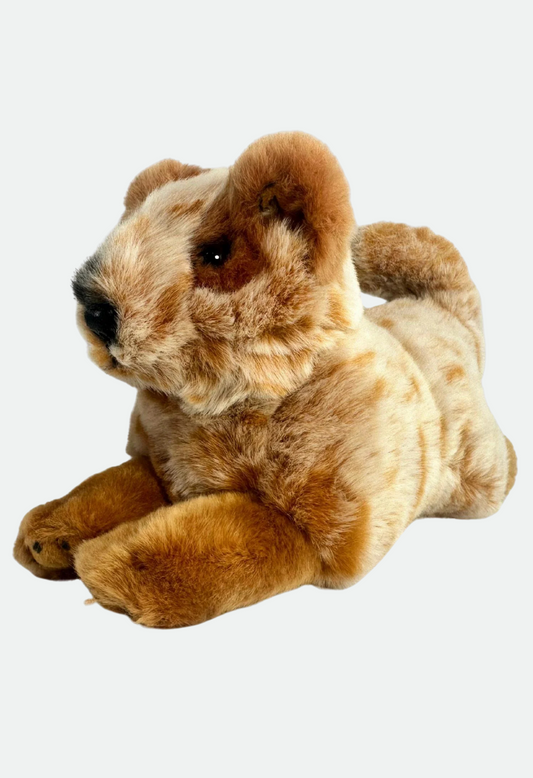 Bocchetta Flame - Cattle Dog