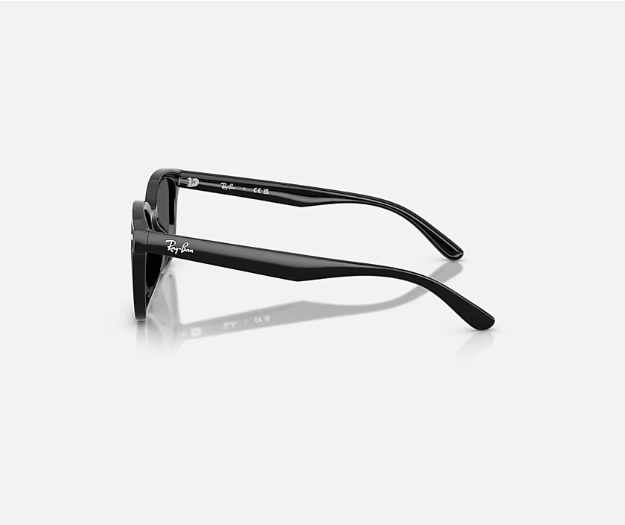 Ray-Ban RB4461D Black w/ Dark Grey